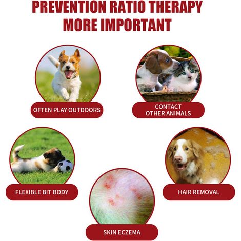 Lot de 5 colliers pour chiens en silicone anti-tiques, puces et moustiques, réglables. (1/5)
