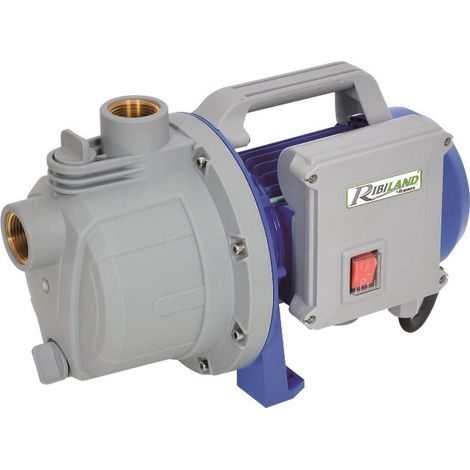 600-w-selbstansaugende oberflächenwasserpumpe - Ribimex - PRJET41P