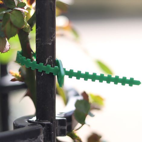 100PCS attaches végétales ajustables pour rosiers et arbustes, liens souples de jardin pour plantes grimpantes (1/5)