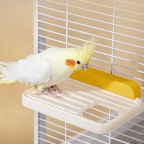 Posatoi in plastica per uccelli, accessori per gabbie da parco giochi, adatti a pappagalli, conuri e pappagalli dalla coda lunga. (1/5)