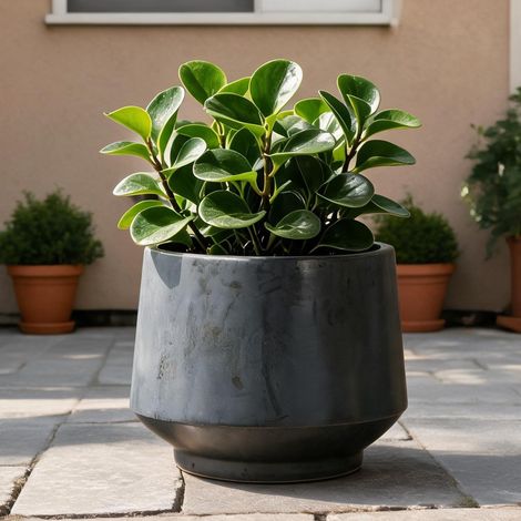 Pot de fleurs en céramique noire 28 cm avec trous de drainage (1/5)
