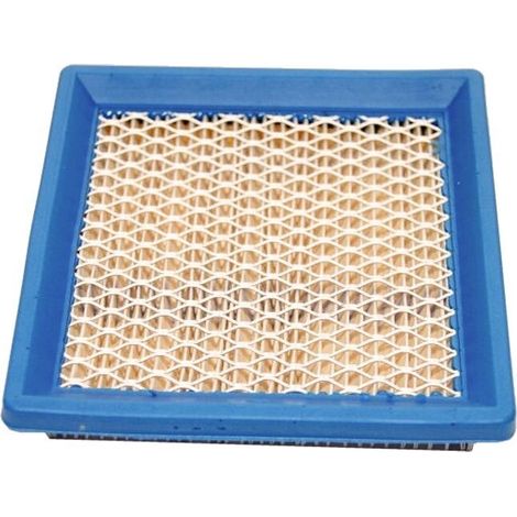 Filtro Air BRIGGS et STRATTON 399877