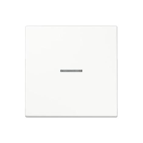 Jung Wippe Lichtleiter aws für Schalter/Taster LS 990 KO5 WW (1/5)