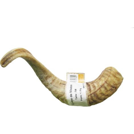 Corne de mouton Désignation : Corne de mouton Taille : S / M BUBIMEX 7476