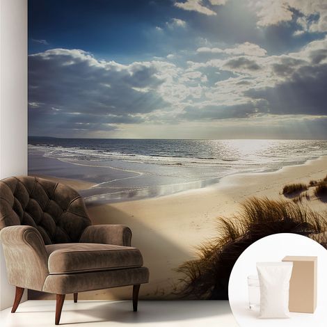 Papier peint intissé mural avec imprimé motifs décoratifs - style contemporain - Colle incluse gratuite Rive rayonnante 250x250 cm (1/5)