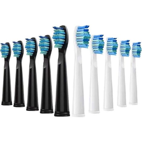 Accessoires pour brosses à dents électriques : têtes de rechange compatibles avec les modèles SEAGO SG910, SG507, SG958, SG515, SG949, SG575 et SG551 (1/2)