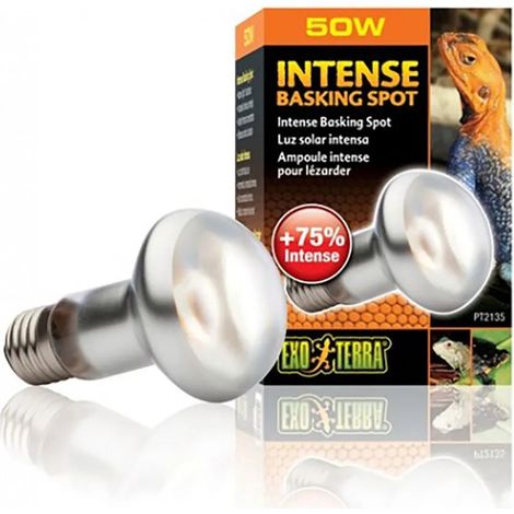 Lampe exo-terra intense basking spot 100W Strahl 45 Grad