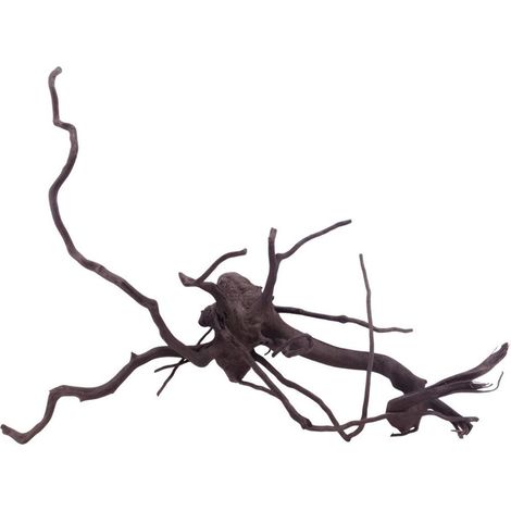 XL Black Spider Wurzel Nr.5285 Fingerwurzel Echtholz Deko Aquascaping