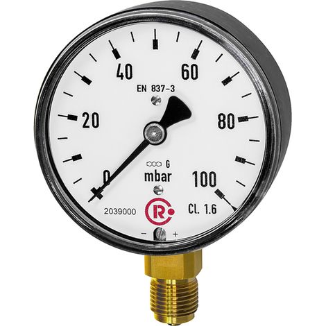 Riegler Kapselfedermanometer, G 1/4 radial unten, 0 - 100 mbar, Ã˜ 63, 5814-R (1/2)