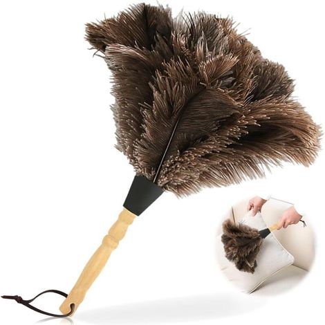 Plumeau d'autruche 34 cm Plumeau avec Manche en Bois pour Chambre Salon Bibliothèque