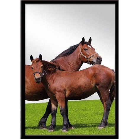 Miroir rectangulaire cheval