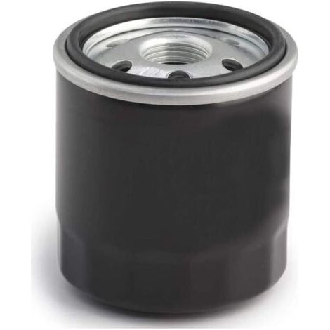 Hippotech Filtre à huile pour Kawasaki 49065-2057, 49065-2070, 49065-2071
