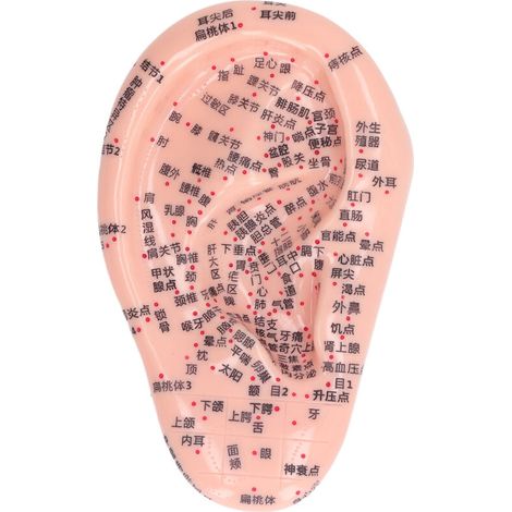 Modèle d'Acupuncture Auriculaire 6,7 pouces en Silicone pour Massage et Gravure - Usage Maison/Laboratoire (1/5)