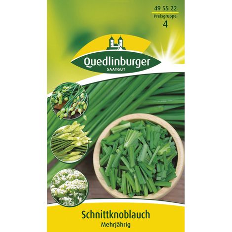 Quedlinburger Saatgut – Ail de Chine (vivace) – Graines d'herbes aromatiques, rustique, feuilles plates au goût d'ail, hauteur env. 30 cm (1/2)