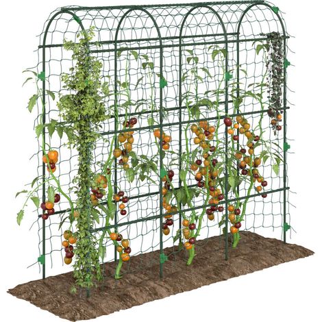 Grande Arche de Jardin, Filet de Protection pour Oiseaux, Montage Facile, Métal, 43 x 182 x 183 cm