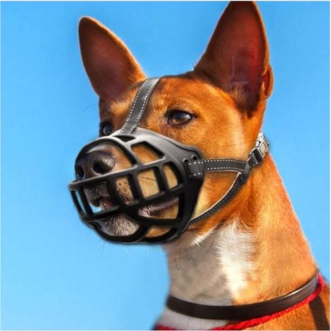 BingoPaw Museau de Chien en Silicone, Muselière Anti Aboiement pour Chiens, 34-37cm pour Moyens et Grands Chiens (1/4)
