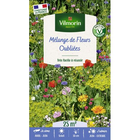 Fleurs Oubliées - 25 m² - Mélange de fleurs Vilmorin (1/3)