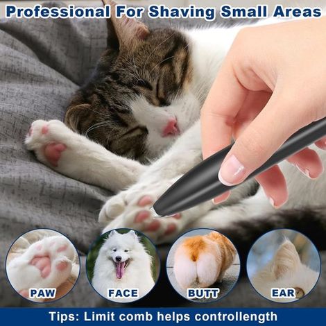 Afeitadora profesional para perros, gatos y pelo de animales, recortadora eléctrica para perros, cortapelos inalámbricos. (1/5)