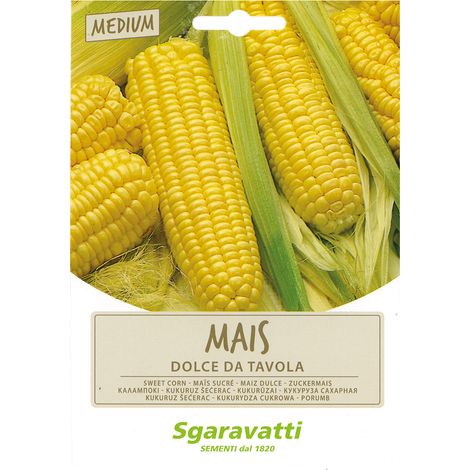 Semi per Ortaggi e Vegetali Mais Dolce Golden Bantam Sgaravatti 10 Pezzi