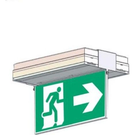 Porte sérigraphie saillie plafond double face flèche dte et gche (1/2)