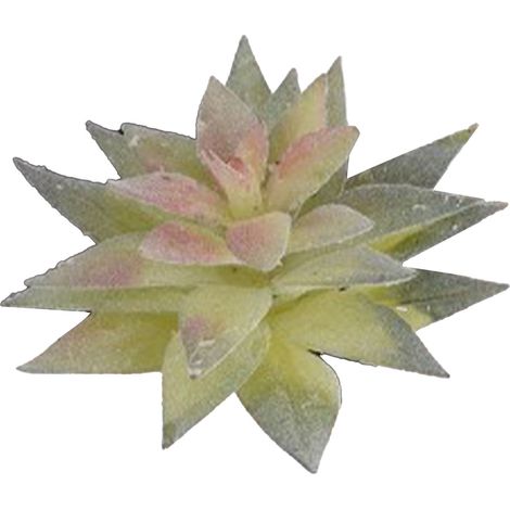 Plante succulente artificielle en PVC souple, mini fausse plante très réaliste pour la décoration de la maison, du bureau ou du bureau (Type 3) (1/5)