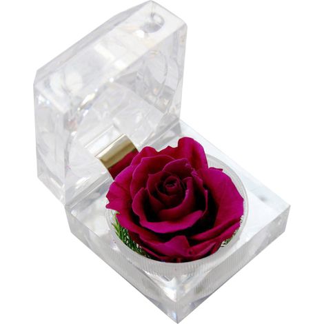 Rosa eterna preservada en caja transparente, perfumada (1 unidad) (1/5)