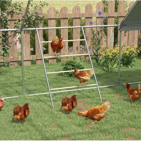 Perchoir échelle pour poules 4 barres, acier galvanisé et bois, 4 à 6 poules DESVIAE (1/5)
