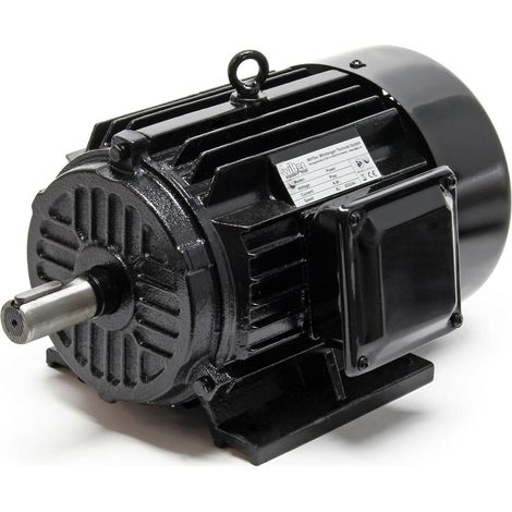 Motore asincrono trifase con rotore in rame 2 poli 3k watt 400v IP44 elettrico 160002444