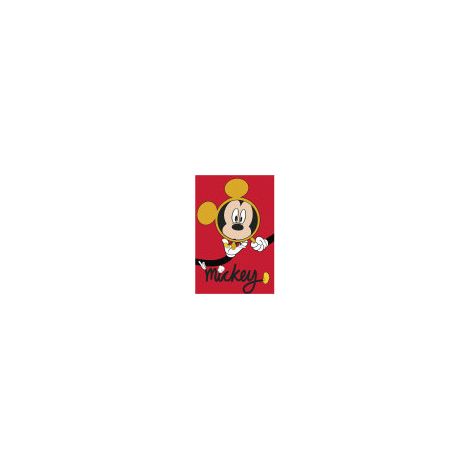 Poster d'Art - Mickey Mouse Sur Un Miroir - 40x50 cm (1/5)