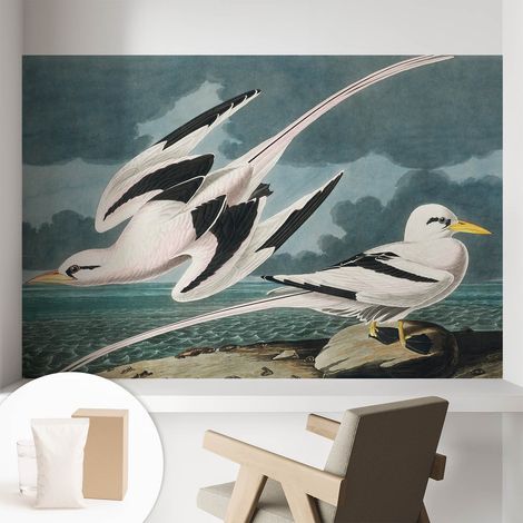 Papier peint intissé mural avec imprimé pour décoration pour salon pour chambre à coucher pour entrée Oiseaux au bord de la mer 104x70 cm (1/5)