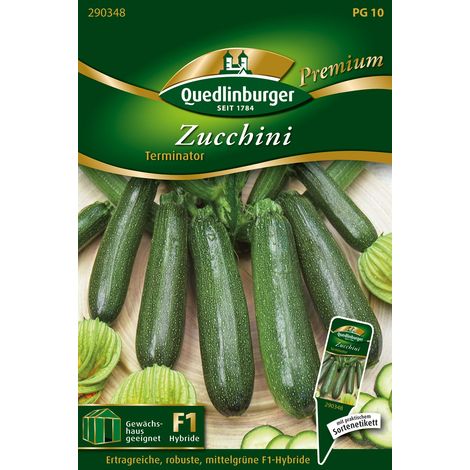 Quedlinburger Saatgut – Courgette Terminator – Graines de légumes, variété robuste précoce, fruits cylindriques vert moyen (1/2)