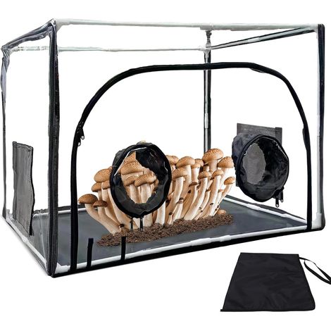 unbeweglich Pilzzuchtbox Anzuchtzelte im Fruchtraum Mycology