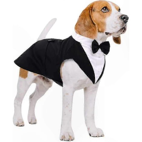 Tenue de mariage et de fête pour chien avec bandana - Convient aux chiens de races moyennes à grandes (1/5)