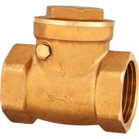 Clapet anti-retour à battant en laiton, filetage femelle DN25, 232 PSI, empêchant le refoulement d'eau. (1/5)