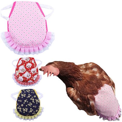 3 Pcs Tablier Poulet Selle Volaille, Selle De Poulet Poule Tablier De Poulet pour Poule De Volaille Protecteur Dorsal D'Aile pour Volaille Gilets De SéCurité pour Poulet pour Petits Animaux Volaille (1/3)