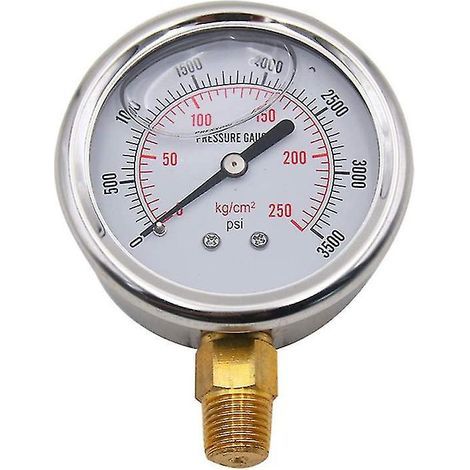 1 Edelstahl-Manometer (1/3)