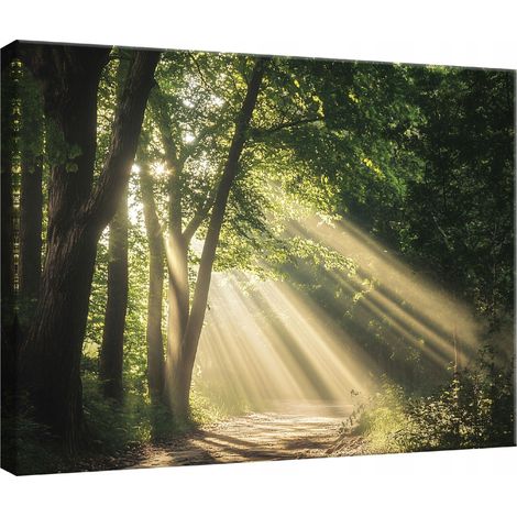 Peinture Murale sur toile fort nature arbres pour chambre salon cuisine 40x30 (1/3)