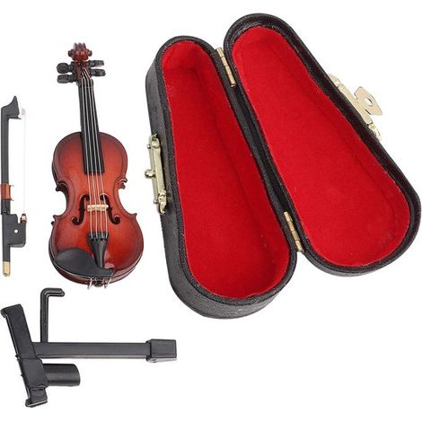 Violino piccolo con custodia,Il violino più piccolo del mondo,Modello in miniatura con supporto e custodia,Accessori per casa delle bambole