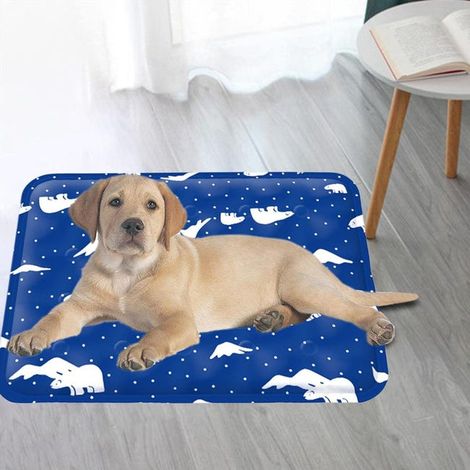 Dog-specific cooling mat, waterproof, safe and harmless, 50 x 60 cm.,It is the ideal choice for you. (1/5)