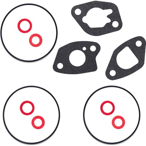 Kit de Joints Cuve Carburateur pour GX120 GX160 GX200 et GXV160 (1/5)