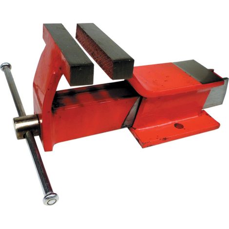 MORSA DA BANCO FISSA TEKNA ACCIAIO 100 MM 80280 (1/2)