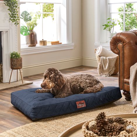Paws for Slumber Padded Pet Bed, Blue, Large