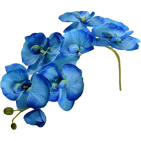 Ein 27,5 Zoll langer künstlicher Orchideenstiel mit 7 Blütenköpfen, der eine realistische Seidenorchideenstruktur aufweist und sich für Bastelarbeiten, Schmetterlingssträuße, Heimdekoration usw. eigne