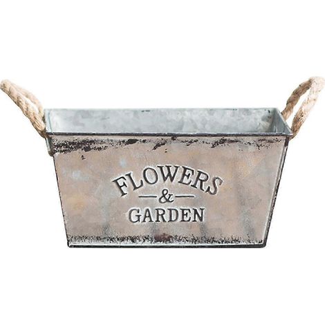 Plantes en fer vintage, pot de fleurs en métal, vase à succulentes-M (1/5)