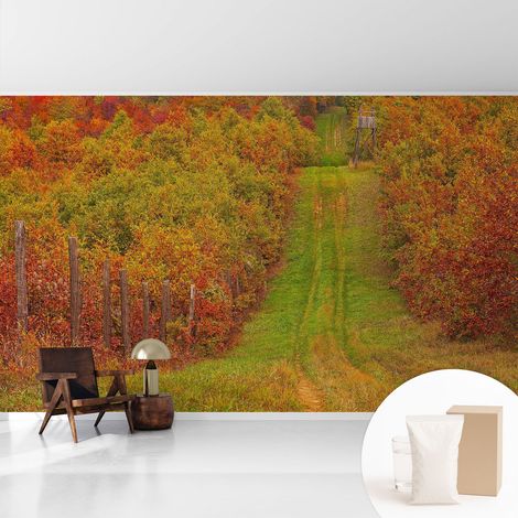 Tapete Vliestapete mit Kleber für Wohnzimmer Schlafzimmer Küche - Wanddekoration Herbstfarben 416x254 cm (1/5)