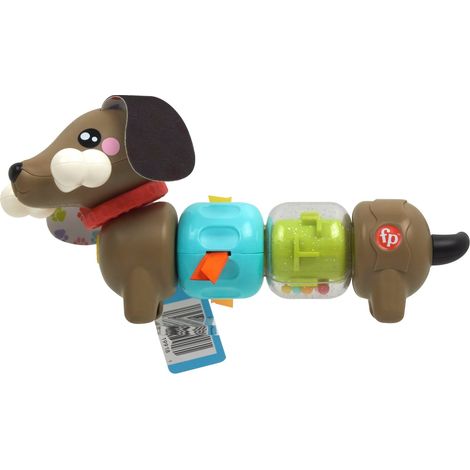 Cucciolo di attivita clic e giro di fisher price (1/5)