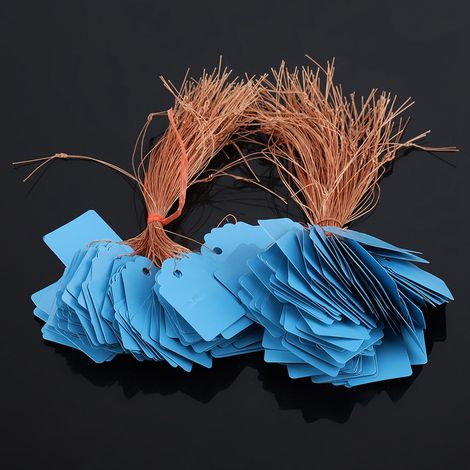 200 blaue PVC-Gartenetiketten für Pflanzen und Setzlinge, Hängeetiketten zur Kennzeichnung im Freien (1/5)