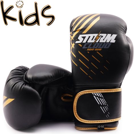 Gants de boxe StormCloud Lynx pour enfants, noir/doré, 170 g (1/5)