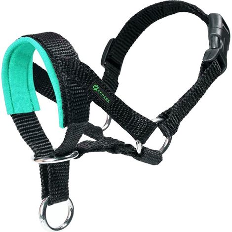 Licol pour Chien avec Tissu Rembourré, Dressage Collier Tête De Chien, Réglable Et Facilement Contrôlable (L,Vert) (1/5)