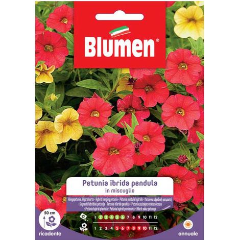 SEMI PETUNIA HYBRIDA PENDULA MIX BLUMEN
